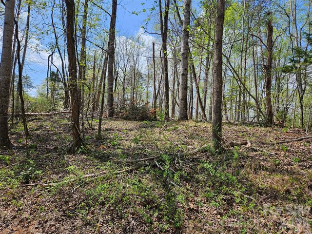 0 Whitney Boulevard 57, Lake Lure, NC 28746