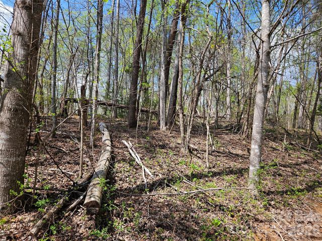 0 Whitney Boulevard 57, Lake Lure, NC 28746
