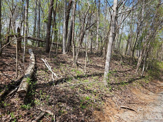 0 Whitney Boulevard 57, Lake Lure, NC 28746