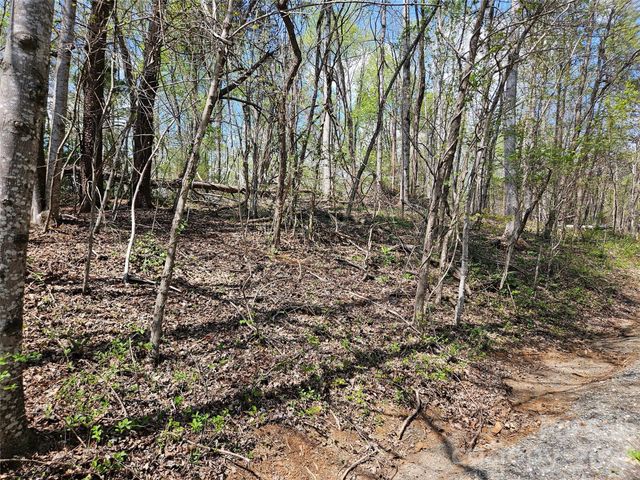 0 Whitney Boulevard 57, Lake Lure, NC 28746