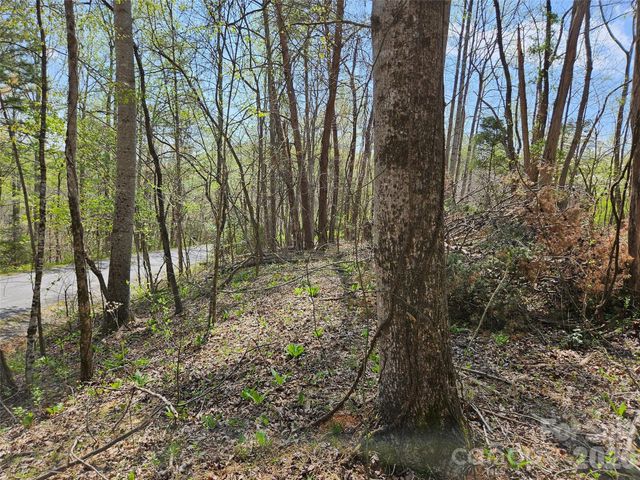 0 Whitney Boulevard 57, Lake Lure, NC 28746