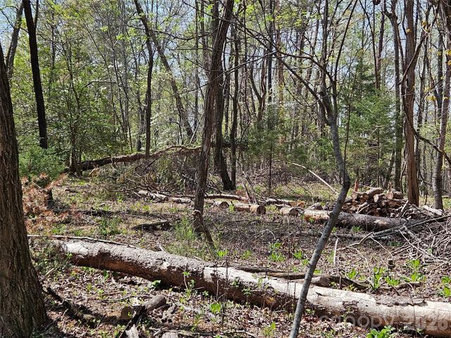 0 Whitney Boulevard 57, Lake Lure, NC 28746