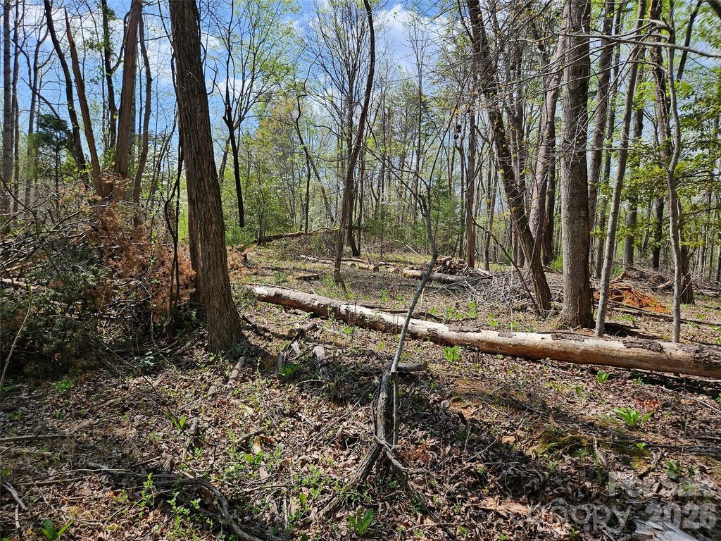 0 Whitney Boulevard 57, Lake Lure, NC 28746