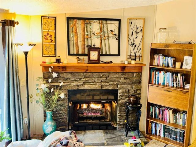 424 Mountain Oak Trail, Jasper, GA 30143