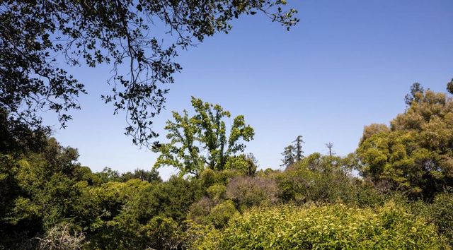 746 Santa Ynez Street, Stanford, CA 94305