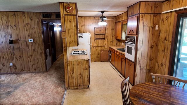 193 Mahan Drive, Center Ridge, AR 72027