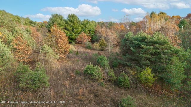 8748 Woodbury Road, Laingsburg, MI 48848