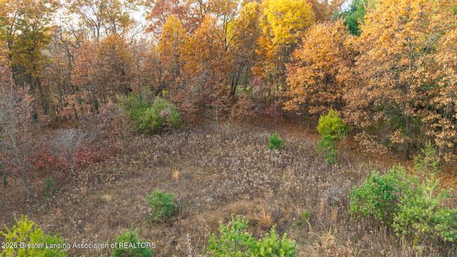 8748 Woodbury Road, Laingsburg, MI 48848