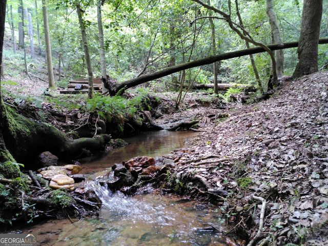 285 W0lf Den Road, Royston, GA 30662