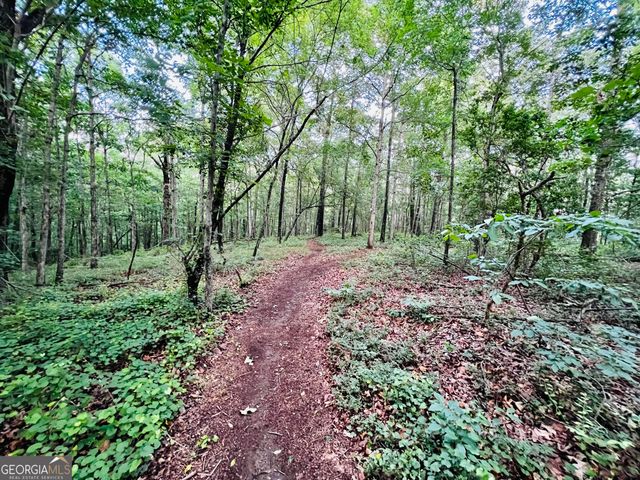 285 W0lf Den Road, Royston, GA 30662