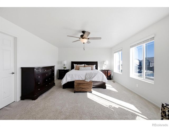 6807 Gateway Crossing Street, Wellington, CO 80549