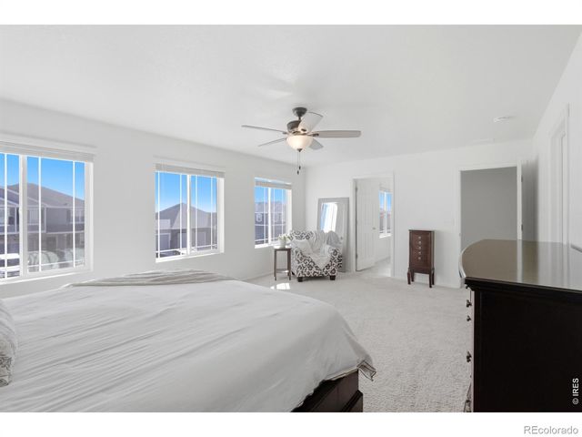 6807 Gateway Crossing Street, Wellington, CO 80549