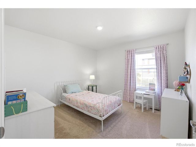 6807 Gateway Crossing Street, Wellington, CO 80549