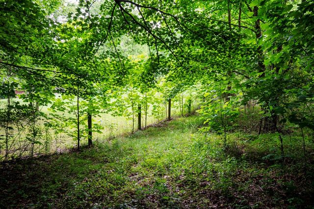 Lot 29 Hidden Forest Lane, Hayesville, NC 28904