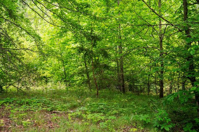 Lot 29 Hidden Forest Lane, Hayesville, NC 28904