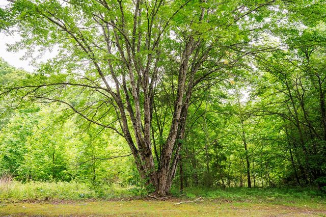 Lot 29 Hidden Forest Lane, Hayesville, NC 28904