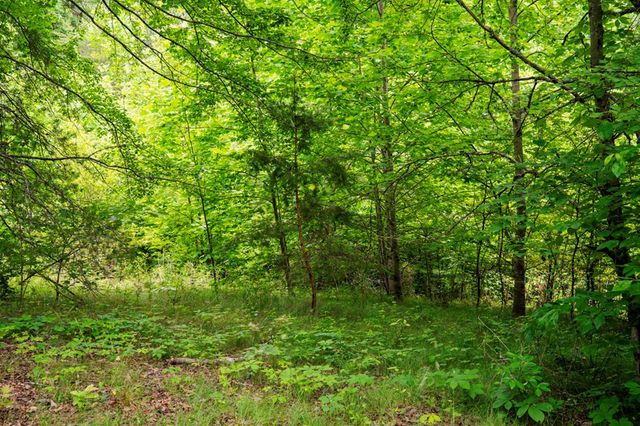Lot 29 Hidden Forest Lane, Hayesville, NC 28904