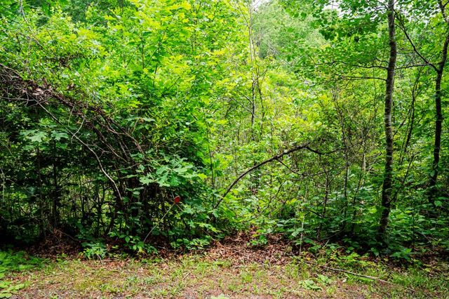 Lot 29 Hidden Forest Lane, Hayesville, NC 28904