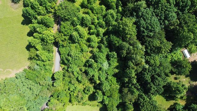 Lot 29 Hidden Forest Lane, Hayesville, NC 28904