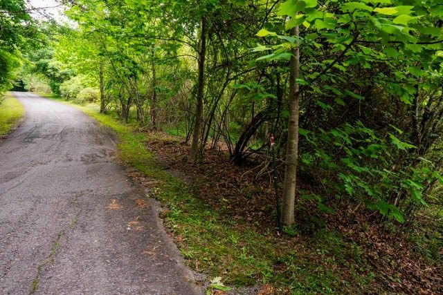 Lot 29 Hidden Forest Lane, Hayesville, NC 28904