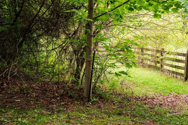 Lot 29 Hidden Forest Lane, Hayesville, NC 28904