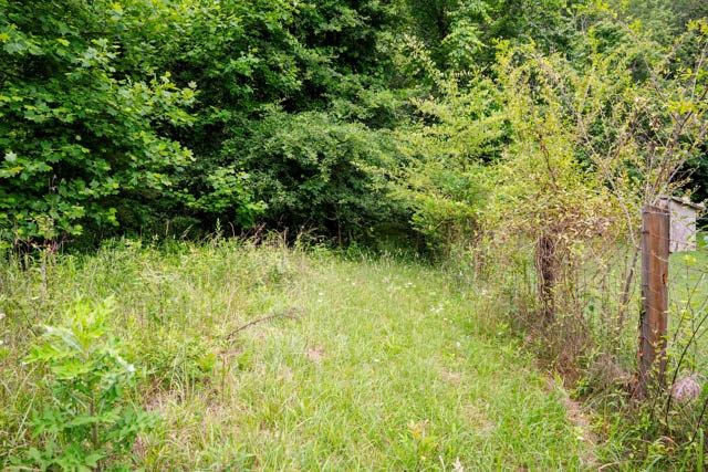 Lot 29 Hidden Forest Lane, Hayesville, NC 28904