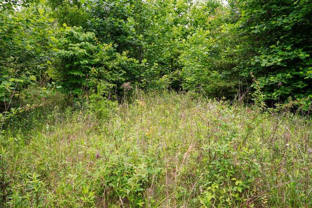 Lot 29 Hidden Forest Lane, Hayesville, NC 28904