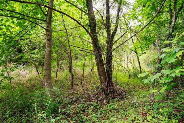 Lot 29 Hidden Forest Lane, Hayesville, NC 28904