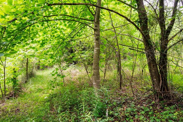 Lot 29 Hidden Forest Lane, Hayesville, NC 28904
