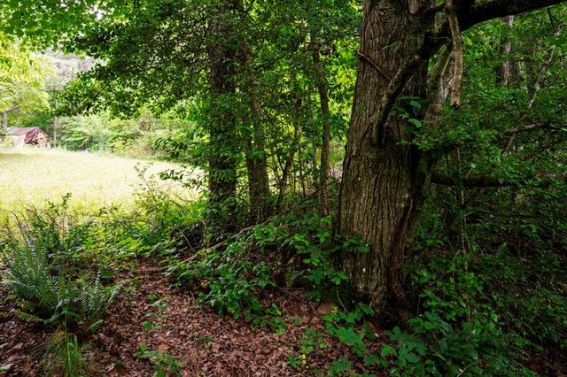 Lot 29 Hidden Forest Lane, Hayesville, NC 28904