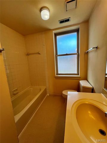 1917 S 11th Street, St Louis, MO 63104