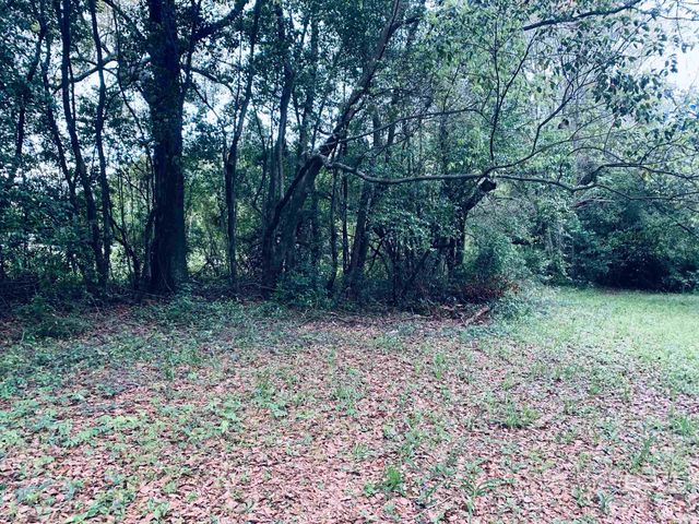 1510 Northview Drive, Mobile, AL 36618