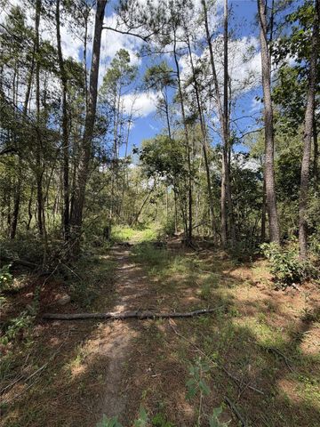 2779 Miller Road, Cleveland, TX 77328