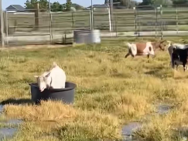 5015 S 6700 W, Hooper, UT 84315