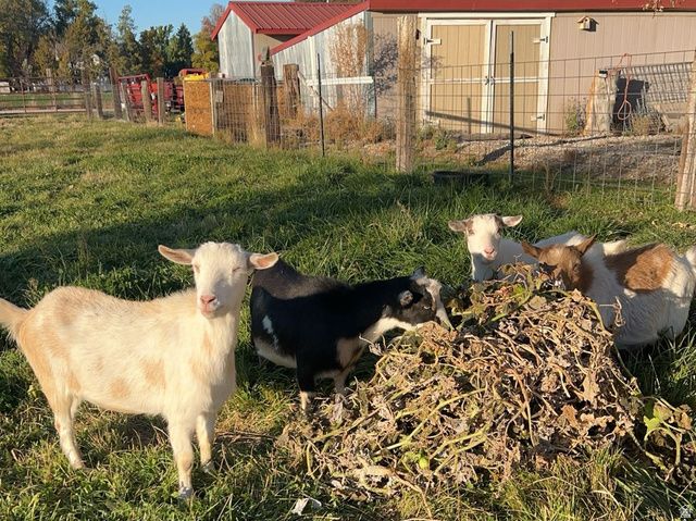 5015 S 6700 W, Hooper, UT 84315