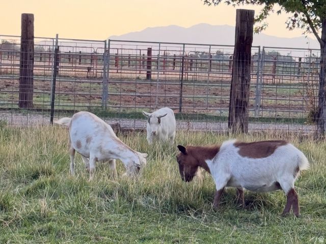 5015 S 6700 W, Hooper, UT 84315