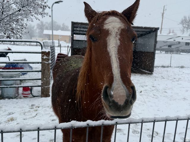 5015 S 6700 W, Hooper, UT 84315