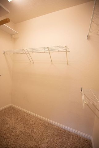 3806 Juniper Hills ST, Cedar Park, TX 78613