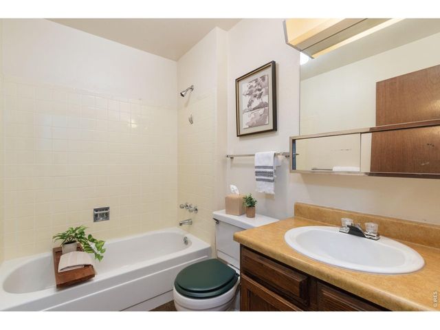 3967 Ash Ave, Loveland, CO 80538