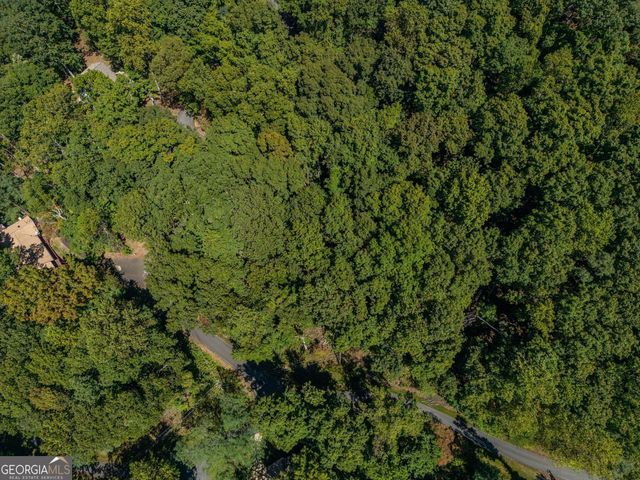 0 Denny Ridge Road, Jasper, GA 30143