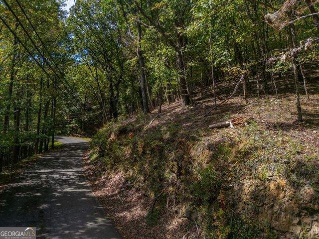 0 Denny Ridge Road, Jasper, GA 30143