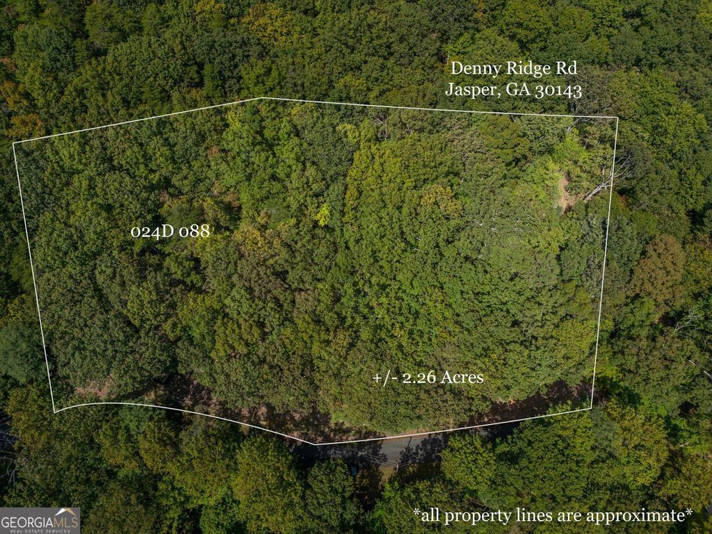 0 Denny Ridge Road, Jasper, GA 30143