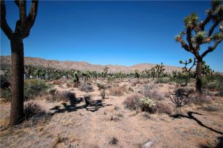 7777 Onaga Trail, Yucca Valley, CA 92284