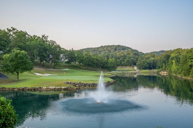 409 Silverwood Circle, Branson West, MO 65737