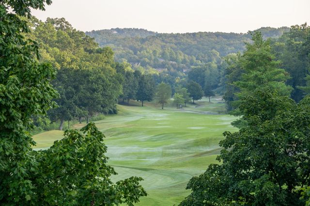 409 Silverwood Circle, Branson West, MO 65737