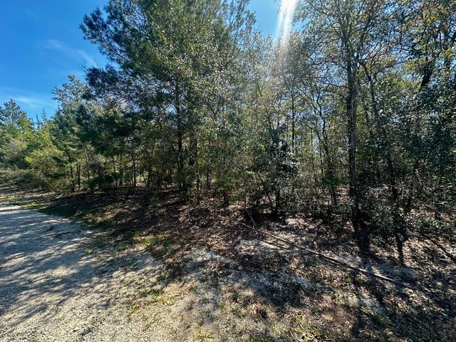 Lot 13 W Dogwood Avenue, Defuniak Springs, FL 32433