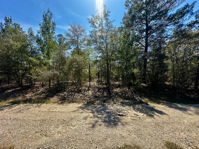 Lot 13 W Dogwood Avenue, Defuniak Springs, FL 32433