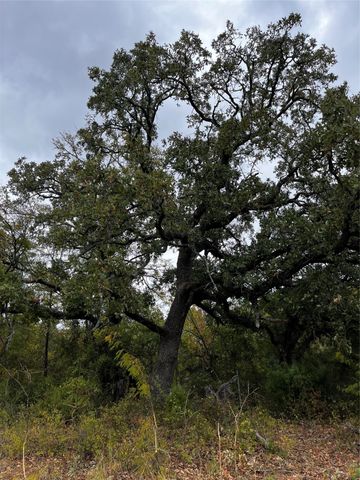 TBD 2 Flat Rock Rd, Azle, TX 76020