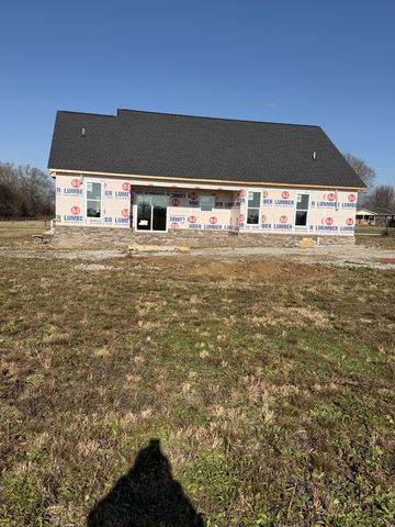 310 Webb Lane, Smithville, TN 37166