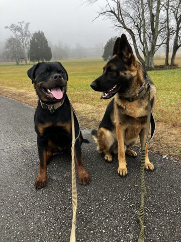 395 Old Shelbyville Hwy, Tullahoma, TN 37388